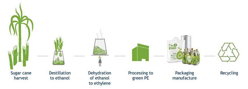 bio based plastic uit suikerriet