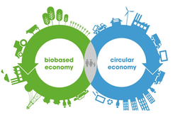circulaire biobased economy.png