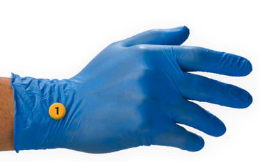 nitrile handschoenen.png